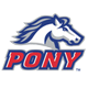 PONY logo