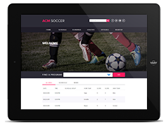 Soccer Websites