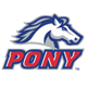 Pony Baseball Logo