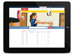 Volleyball Websites